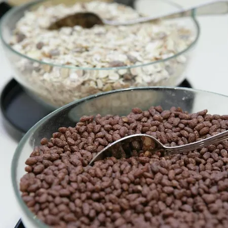 Michelangelo מלון פורלי