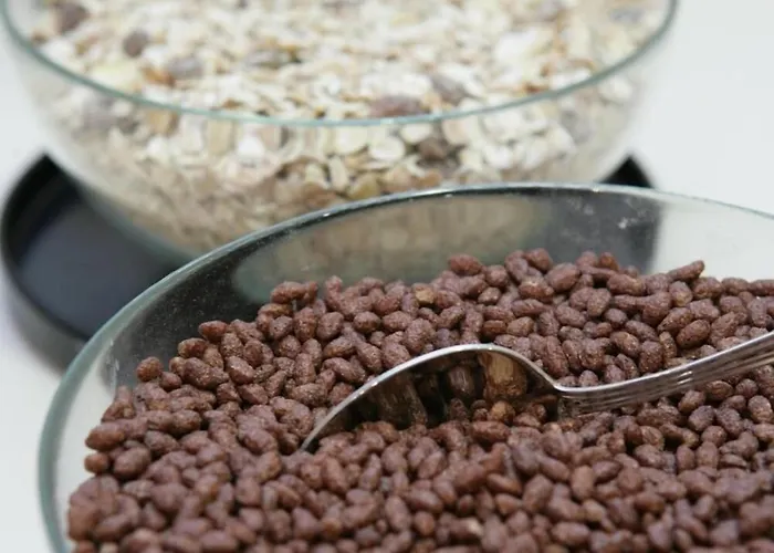 Michelangelo Hotel Forlì